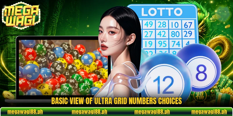 Basic view of Ultra Grid Numbers choices Basic view of Ultra Grid Numbers choices