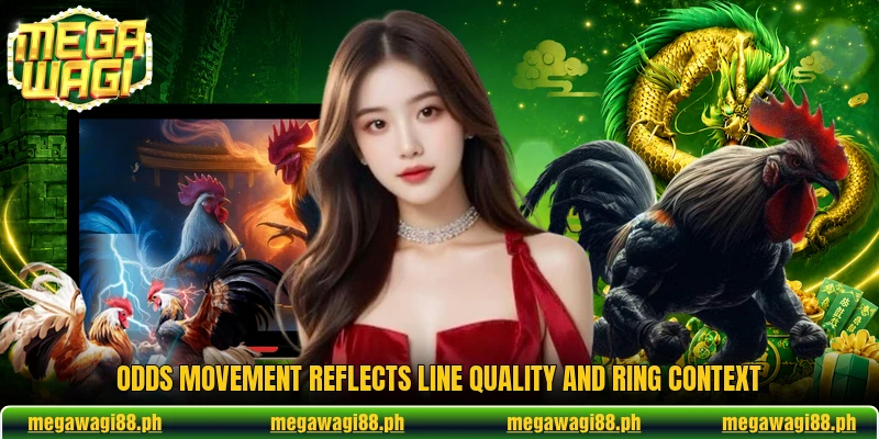 Odds movement reflects line quality and ring context Odds movement reflects line quality and ring context