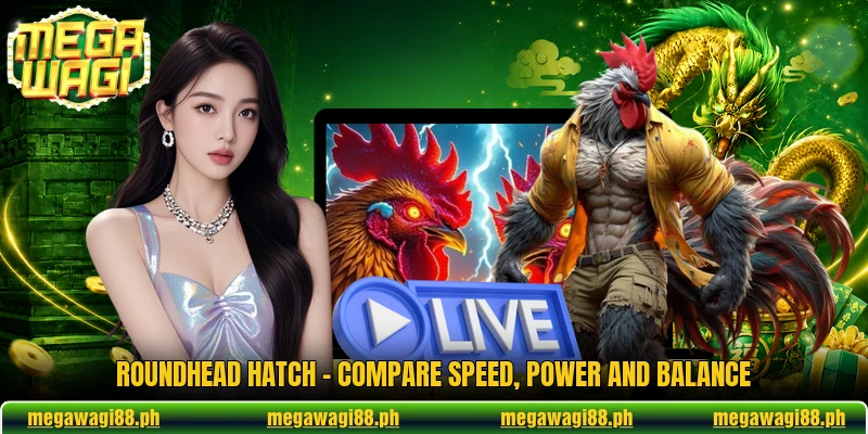 Roundhead Hatch - Compare Speed, Power And Balance
