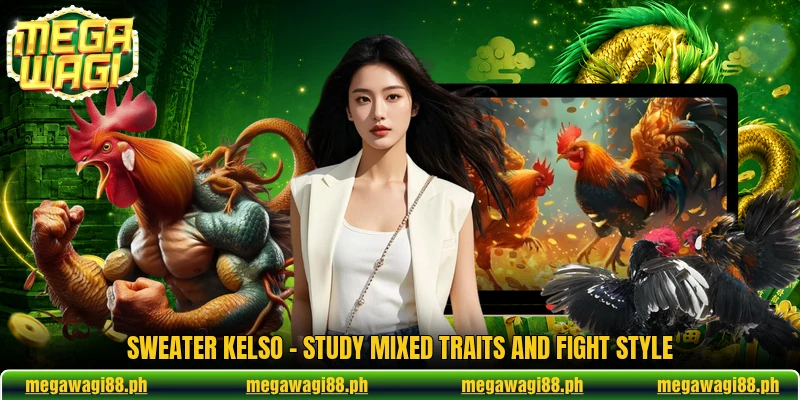 Sweater Kelso - Study Mixed Traits And Fight Style