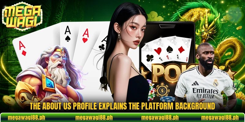 The about us profile explains the platform background